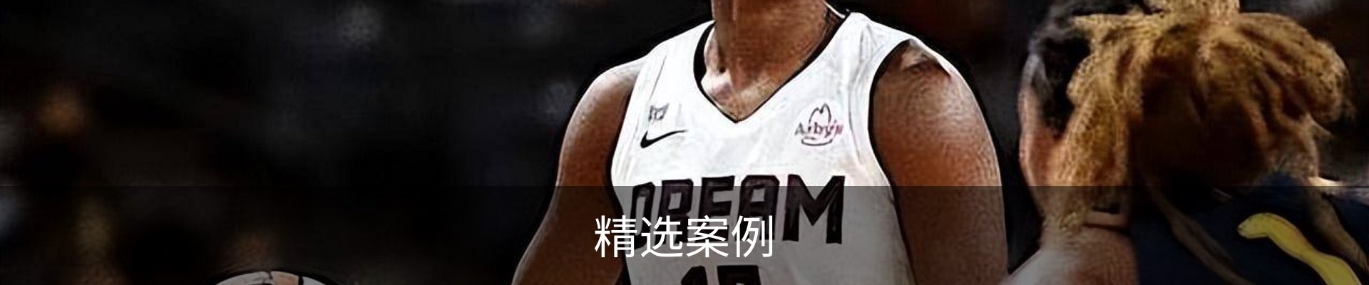 精选案例